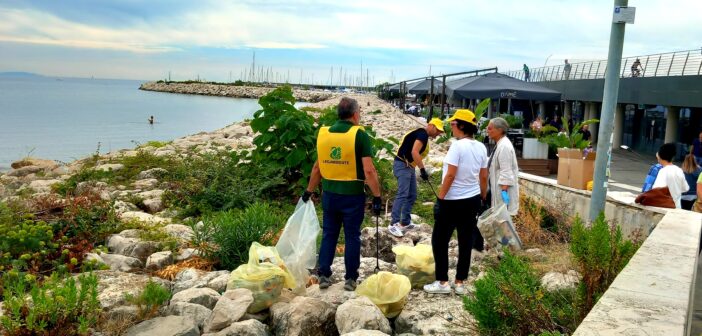 Legambiente a Lungomare. Recupero piazza Cavour: salvi platani e palme spontanei?